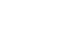 vc-Seamless-logo-white
