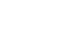 vc-Stroke-Foundation-logo-white